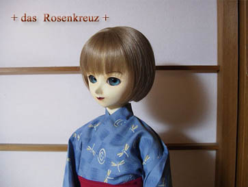 �ĂȂ̂ŗ���