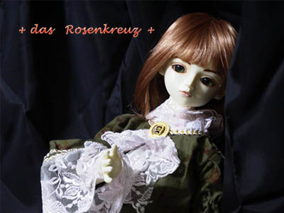 �W���i�T�����q