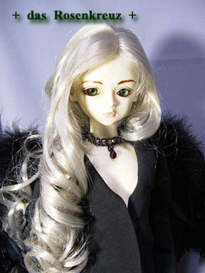 �W���i�T�����V�g�H