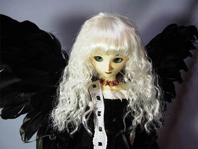 ���V�g�F�A���W�X�g